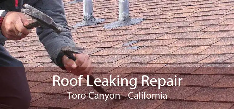 Roof Leaking Repair Toro Canyon - California