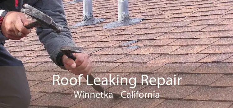 Roof Leaking Repair Winnetka - California