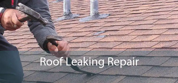 Roof Leaking Repair 