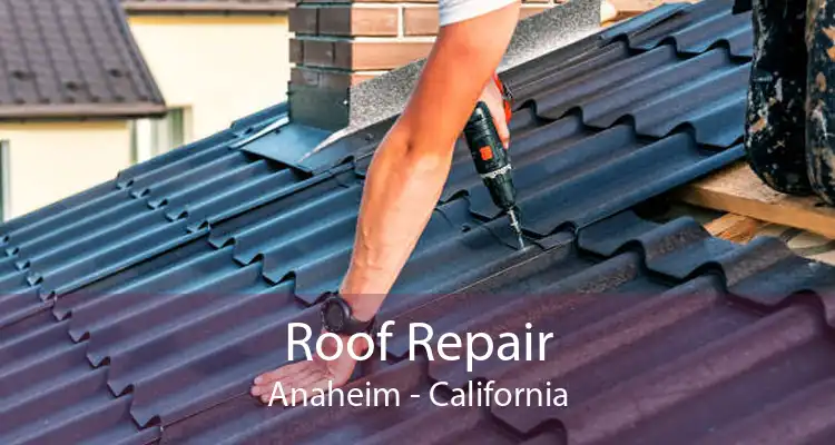 Roof Repair Anaheim - California