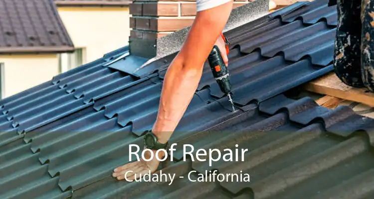 Roof Repair Cudahy - California