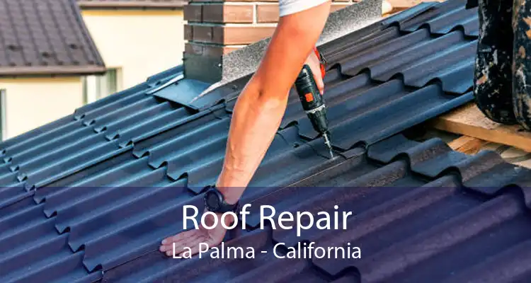 Roof Repair La Palma - California