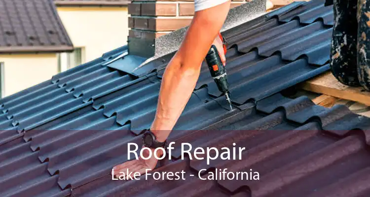 Roof Repair Lake Forest - California