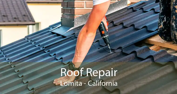 Roof Repair Lomita - California