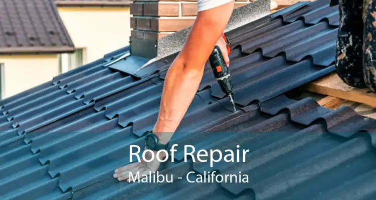 Roof Repair Malibu - California