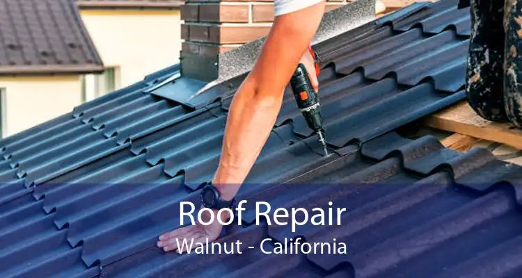 Roof Repair Walnut - California