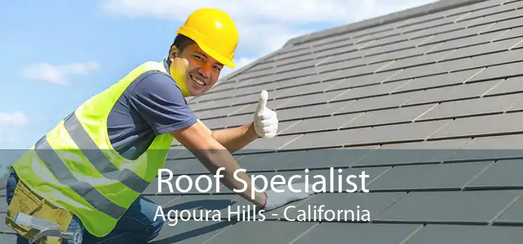 Roof Specialist Agoura Hills - California