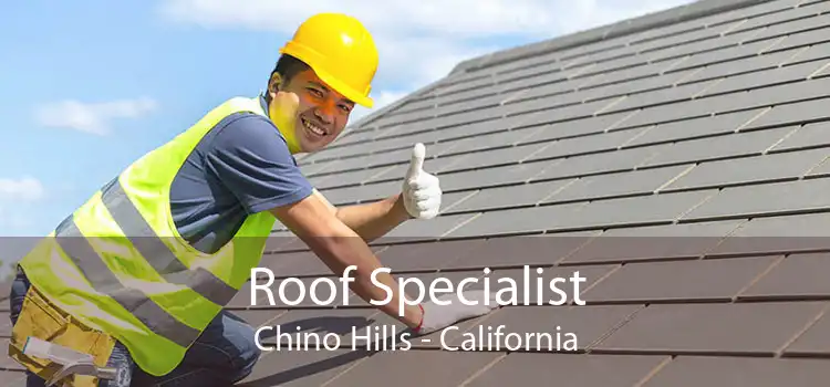 Roof Specialist Chino Hills - California