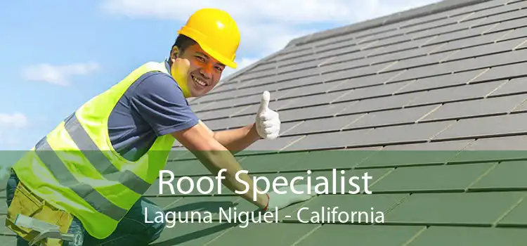 Roof Specialist Laguna Niguel - California