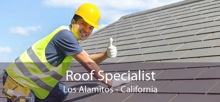 Roof Specialist Los Alamitos - California