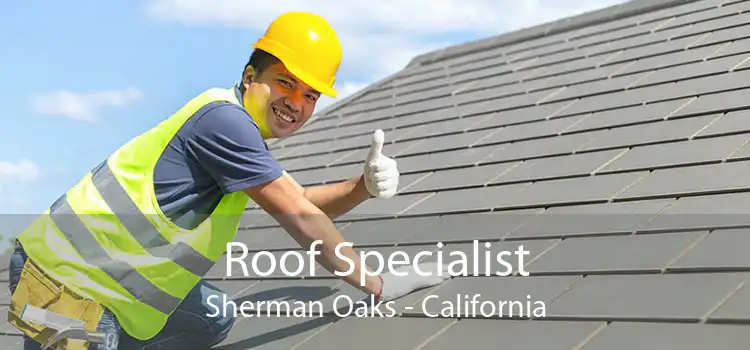 Roof Specialist Sherman Oaks - California