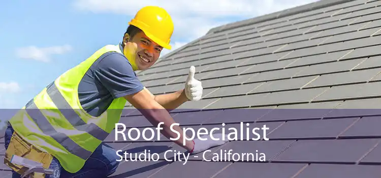 Roof Specialist Studio City - California