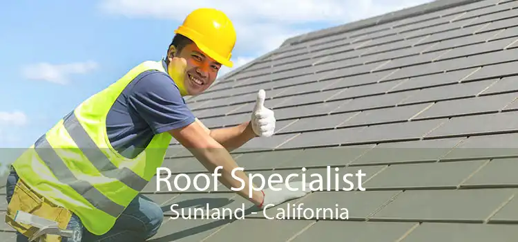 Roof Specialist Sunland - California