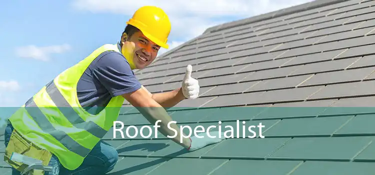 Roof Specialist 