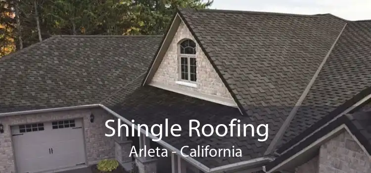 Shingle Roofing Arleta - California