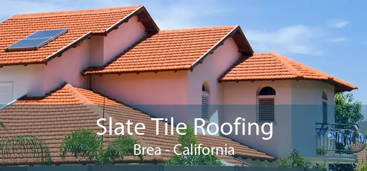 Slate Tile Roofing Brea - California