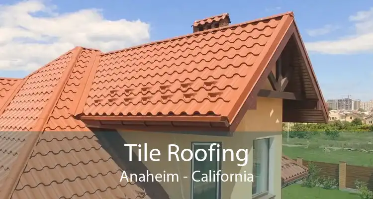 Tile Roofing Anaheim - California