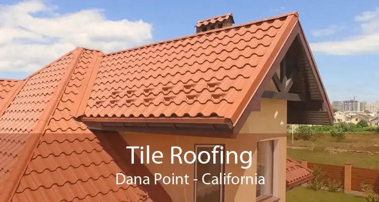 Tile Roofing Dana Point - California