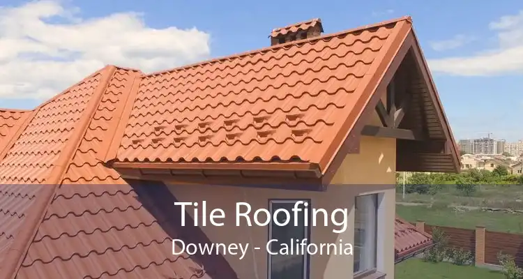 Tile Roofing Downey - California