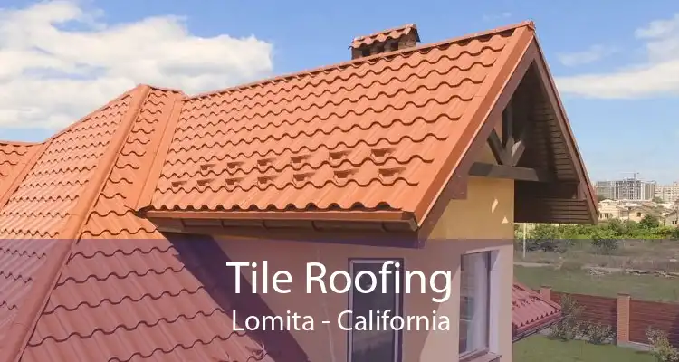 Tile Roofing Lomita - California