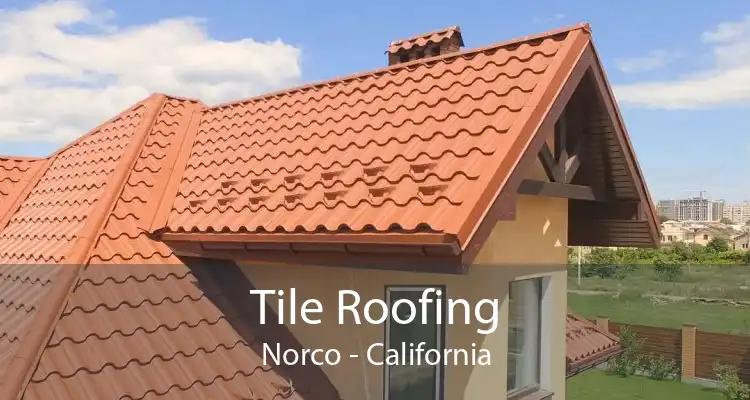 Tile Roofing Norco - California