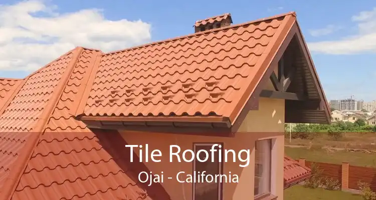 Tile Roofing Ojai - California