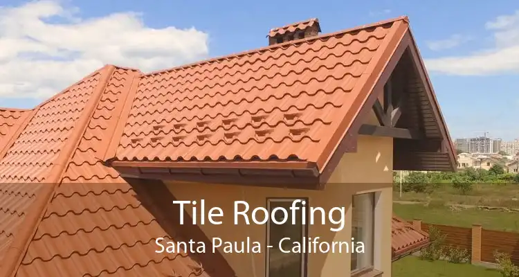 Tile Roofing Santa Paula - California