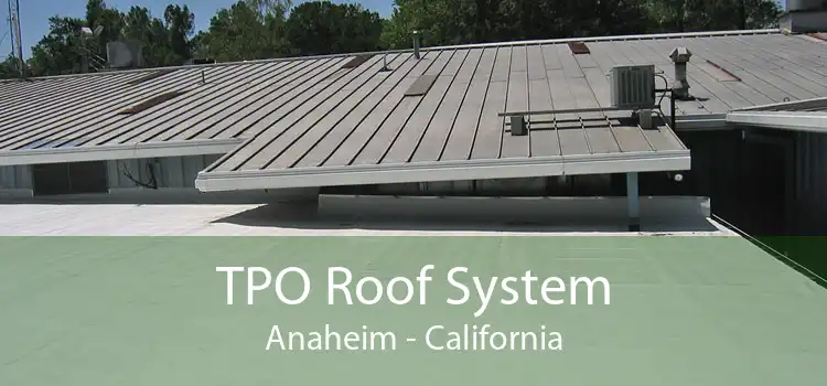 TPO Roof System Anaheim - California