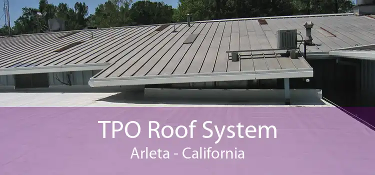 TPO Roof System Arleta - California