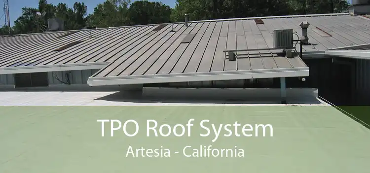 TPO Roof System Artesia - California