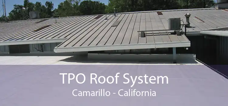 TPO Roof System Camarillo - California