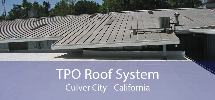 TPO Roof System Culver City - California