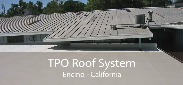 TPO Roof System Encino - California