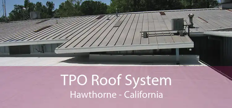 TPO Roof System Hawthorne - California