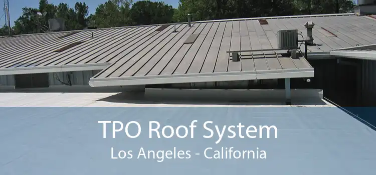 TPO Roof System Los Angeles - California