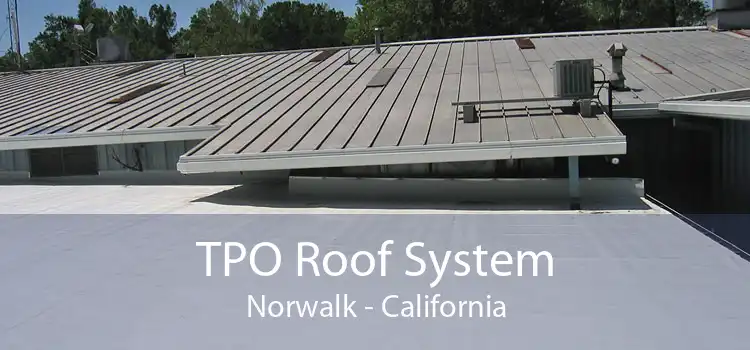 TPO Roof System Norwalk - California