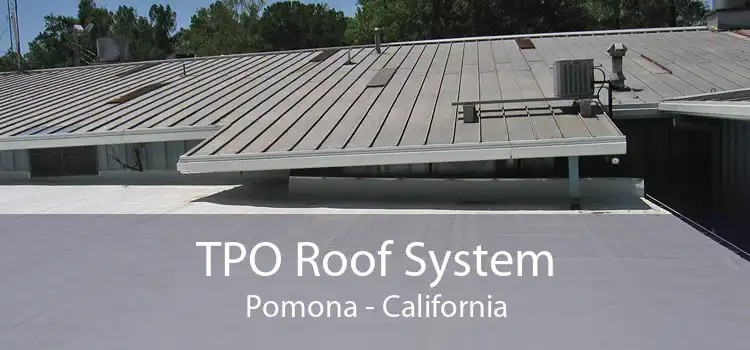 TPO Roof System Pomona - California