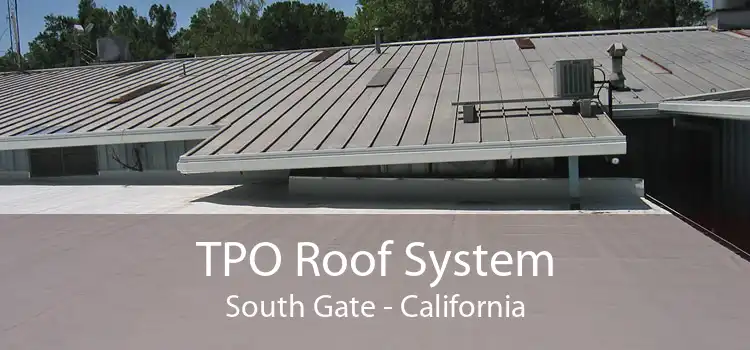 TPO Roof System South Gate - California