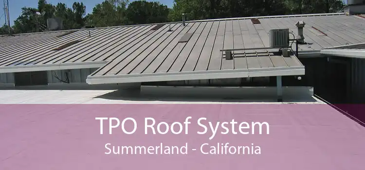 TPO Roof System Summerland - California