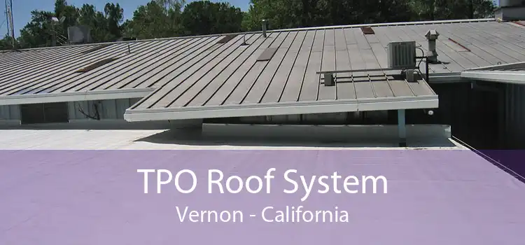 TPO Roof System Vernon - California