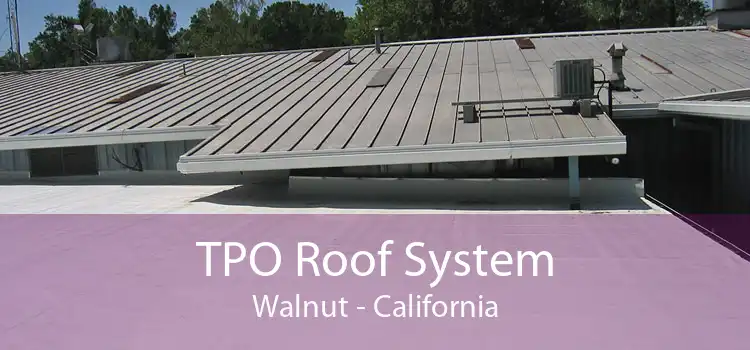 TPO Roof System Walnut - California