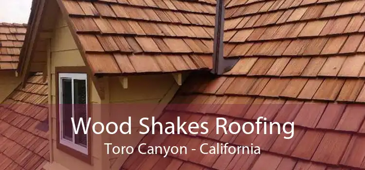 Wood Shakes Roofing Toro Canyon - California